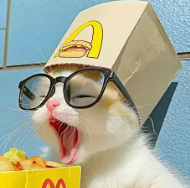 孙先生头像